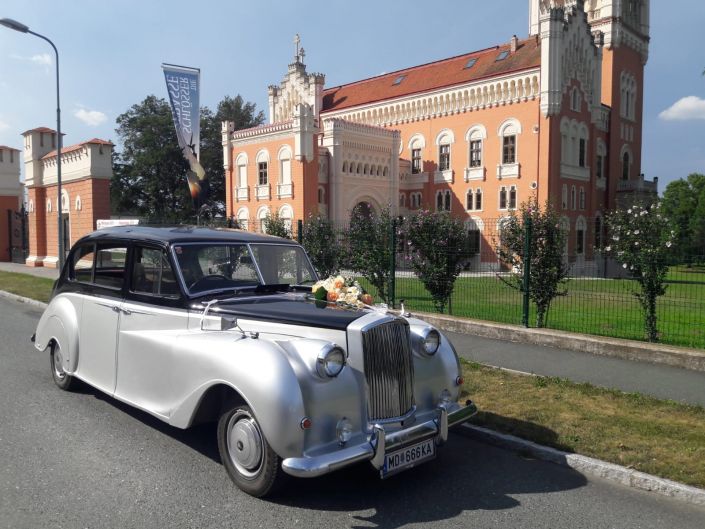 Hochzeitsauto Oldtimer (23) Hochzeitsauto Oldtimer