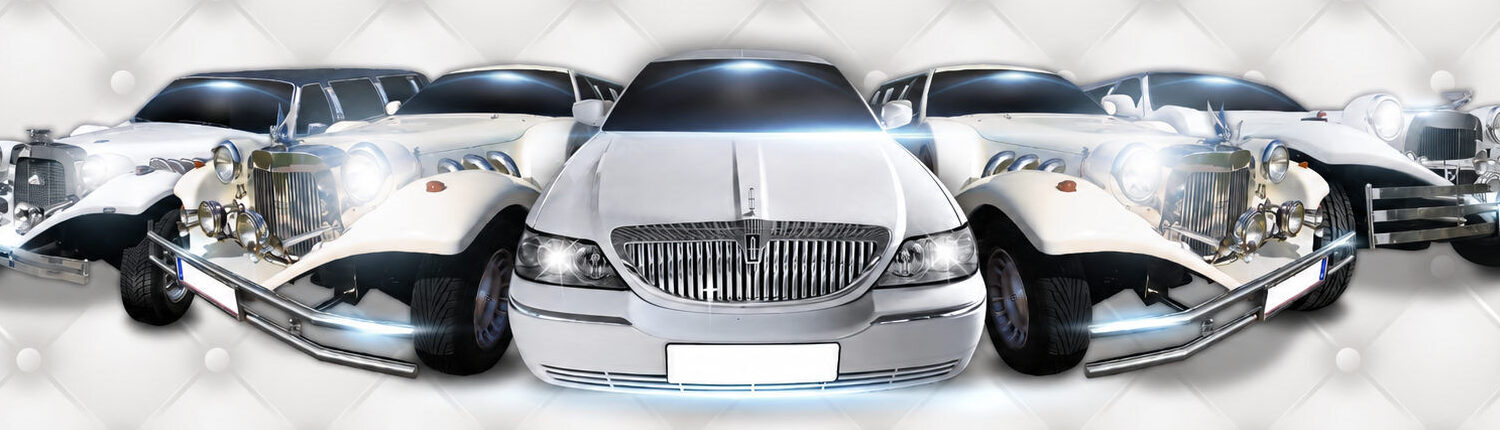 Limousine mieten Wien, Partybus mieten Wien
